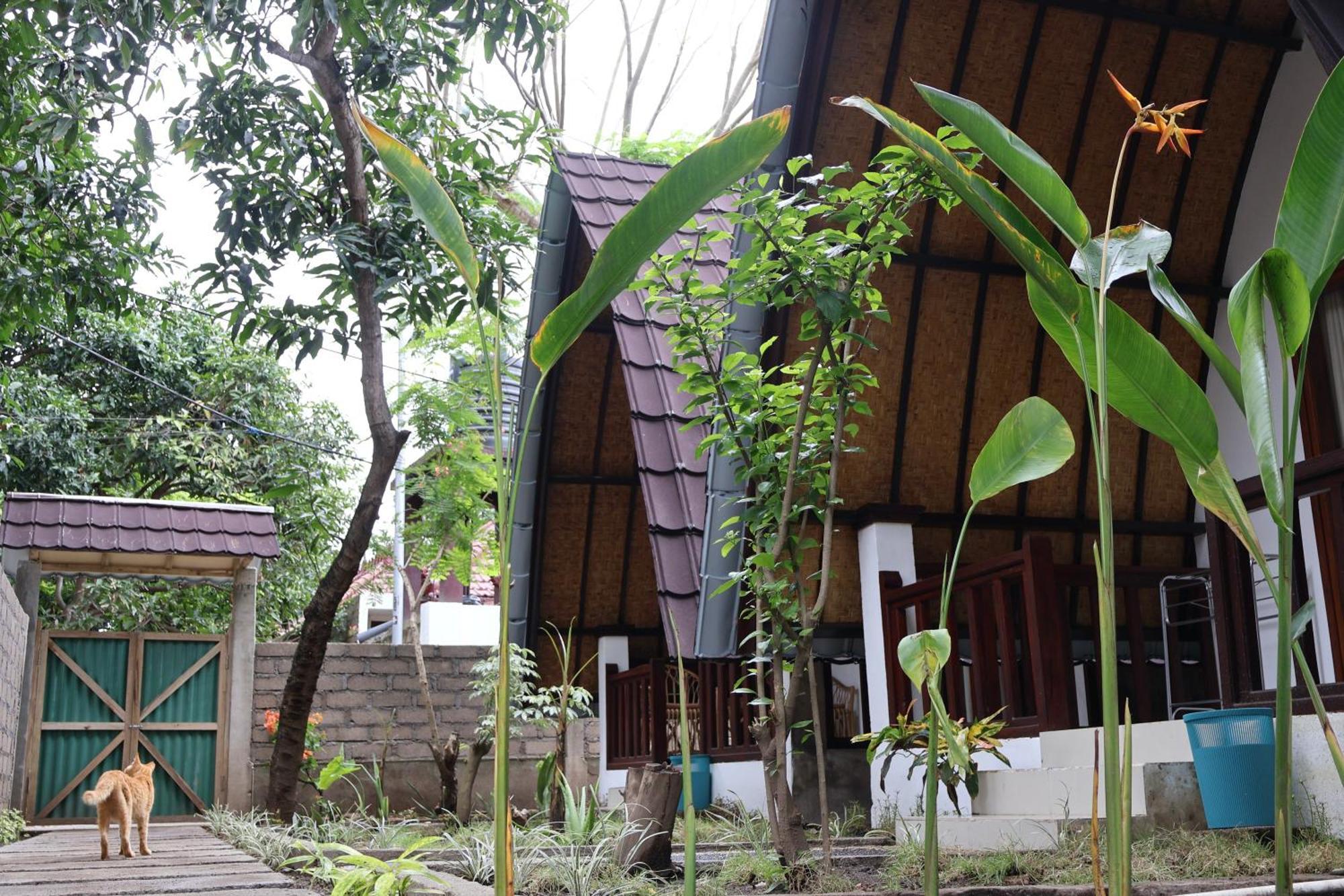 Rumah Gemala Gili Air Zewnętrze zdjęcie